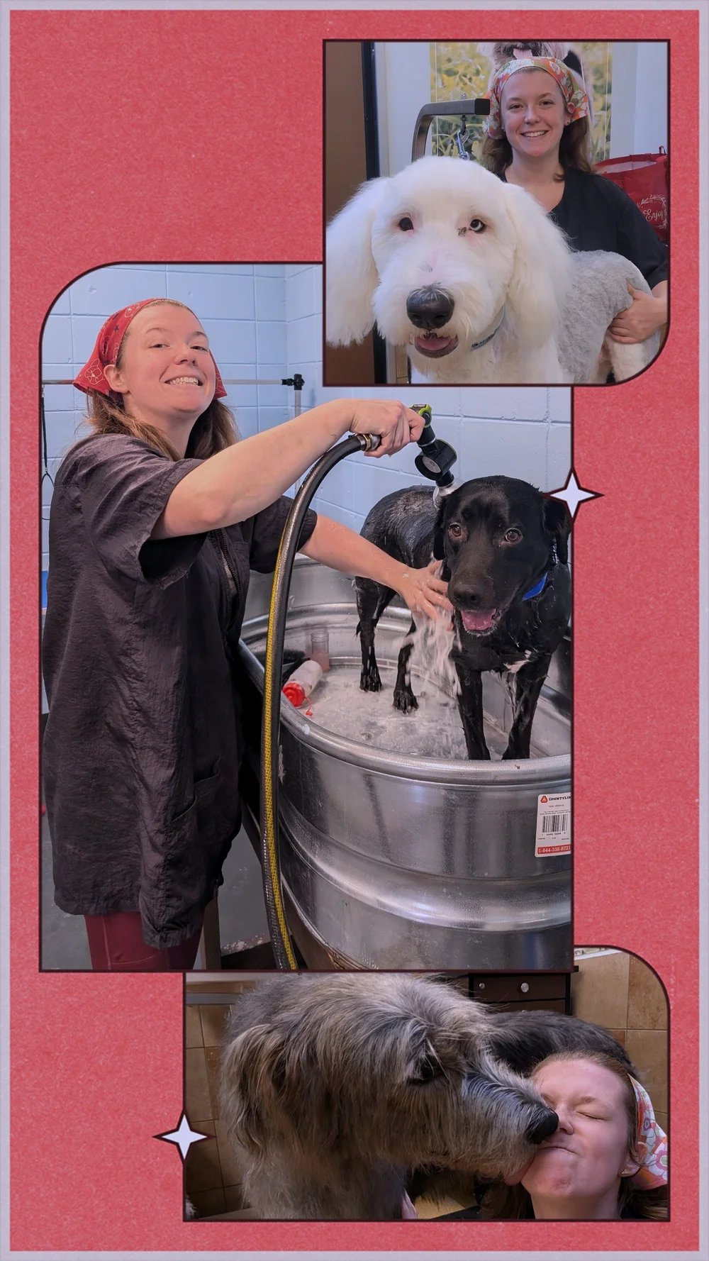 Meet Rachel β groomer & owner